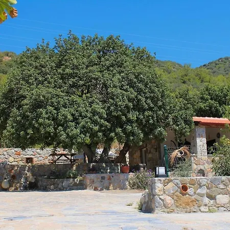 Karaincirevleri * Emecik