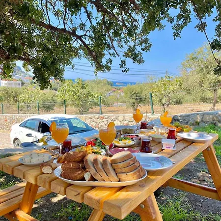 Karaincirevleri Holiday home *