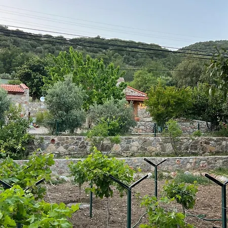 Holiday home Karaincirevleri